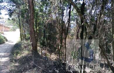 Imagem 4: ** Lindo terreno **