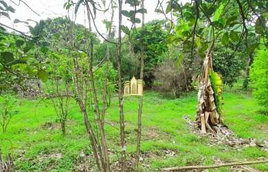 Imagem 6: Sitio em Esmeraldas