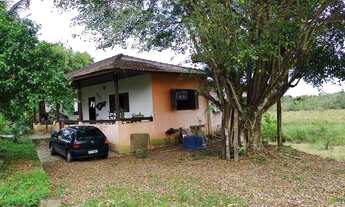 Imagem 6: Sítio 20 alqueires Plano ( Willian Ricardo