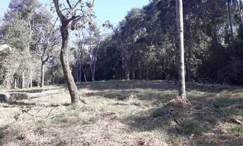 Imagem 3: TERRENO PONUNDUVA