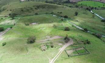 Imagem 2: Fazenda com 21 Hectares em Barra de Guabiraba-PE