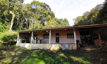 Imagem 6: Chácara com 12.100 m² Marmeleiro - Almirante Tamandaré