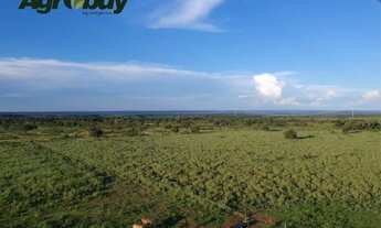 Imagem: Fazenda em Gurupi TO