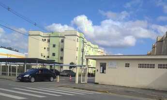 Imagem: JARAGUá DO SUL - Padrão - Nereu Ramos