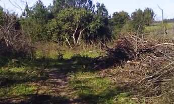 Imagem 3: Chácara de frente para o asfalto, localizada em Glorinha RS!!