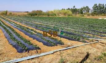 Imagem: Chacara 5.2 hectares em Brazlandia DF -Plana