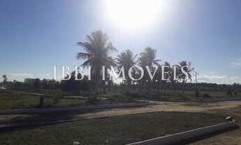 Imagem 5: Terreno Lado Novo Aeroporto Internacional