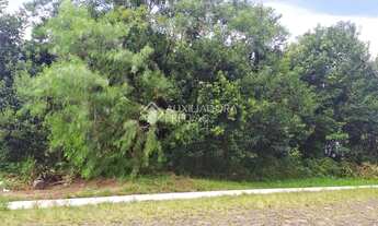 Imagem: DOIS IRMãOS - Terreno Padrão - Vale Verde