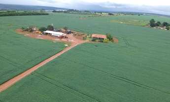 Imagem 2: Vendo em Planaltina GO