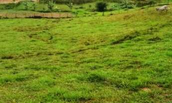 Imagem 2: Fazenda formada 14 ha