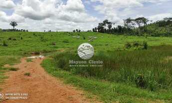 Imagem 2: Ariquemes - Sítio - 20 Alqueires em Ariquemes