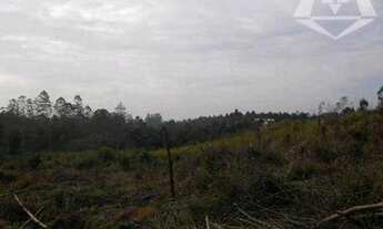 Imagem 3: Área à venda, 25360 m² por R$ 3.804.000,00 - Chácara Santa Mônica - Vargem Grande Paulista