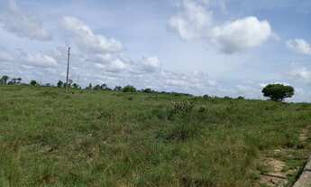 Imagem 5: Fazenda/Sítio/Chácara para venda tem 6.290.000 m² , na TransCametá - Cametá - PA