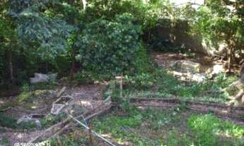 Imagem 4: Porto Alegre - Casa Padrão - Cristal