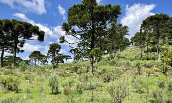 Imagem 7: Chácara em Urubici