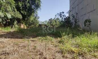 Imagem 4: Porto Alegre - Terreno Padrão - Ipanema