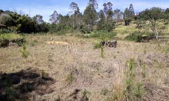 Imagem: Sítio 26.000m² - Morungaba/SP/BR