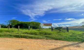 Imagem 6: Terreno de 7.500 m² em Ponta Grossa