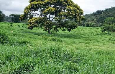 Imagem 7: Fazenda à venda, m² por R$ 62.000.000,00 - Santa Luzia - Jequitinhonha/MG