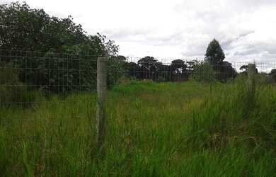 Imagem 5: Terreno Comercial para Venda em Curitiba, Sítio Cercado