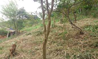 Imagem: Vendo terreno