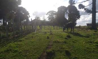 Imagem 6: SãO JOSé DOS PINHAIS - Terreno Padrão - Costeira
