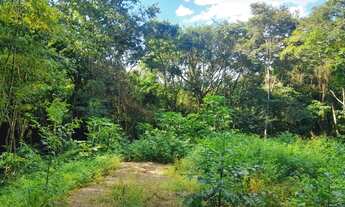 Imagem 2: Chácara arborizada de fácil acesso, localizada em Taquara RS!