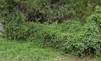 Imagem: Vendo Ótimo Terreno na Rua São Sebastião