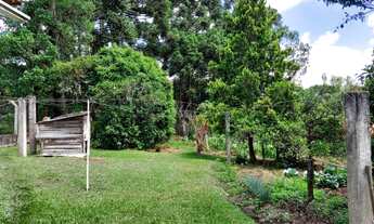 Imagem 6: Terreno em Campo Alegre