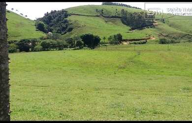 Imagem 5: FAZENDA LEITE/CORTE - MELHOR VÁRZEA DA REGIÃO - SILVEIRAS - SP