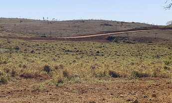 Imagem 7: Lindas Fazendinhas Premium de 20.000 m² pertinho de BH (PF36