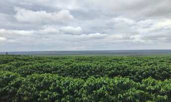 Imagem 7: Fazenda de café em m.g. -estruturada e montada 996 ha.(411 alq.