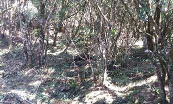 Imagem 4: Terreno residencial à venda