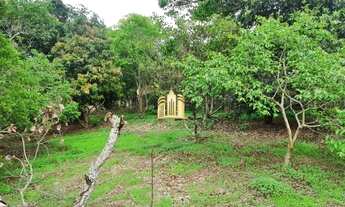 Imagem 4: Sitio em Esmeraldas