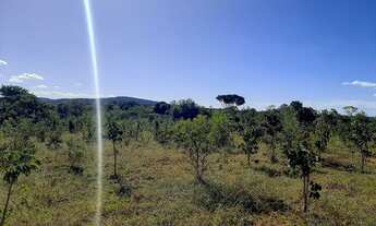 Imagem 4: 20.000m² com Rio nos fundos e terra de plantio