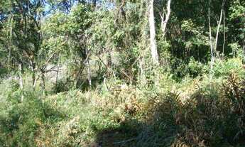 Imagem 6: Terreno no bairro Três Pinheiros em Gramado!