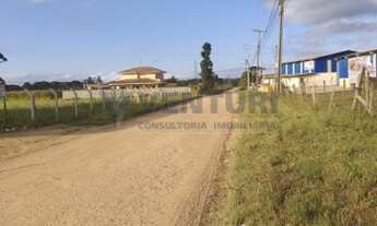 Imagem 2: SãO JOSé DOS PINHAIS - Terreno Padrão - Costeira