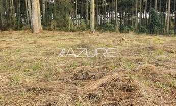 Imagem 5: PIRAQUARA - Terreno Padrão - Volteio