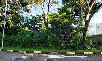 Imagem 2: APVM250 PATAMARES