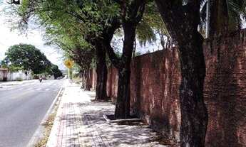 Imagem 5: Loteamento Granja Icarai