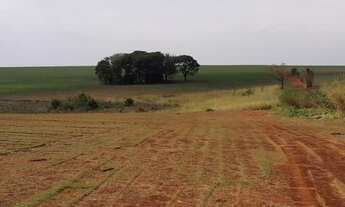 Imagem 4: Sítio para venda em Tatuí-SP de 10 alqueires