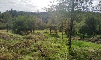 Imagem: CHACARA ROSEIRA 10 MIL METROS COM NASCENTE