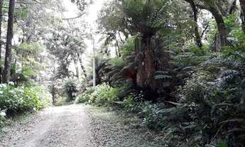 Imagem: Terreno no Alpes Verdes em Canela!