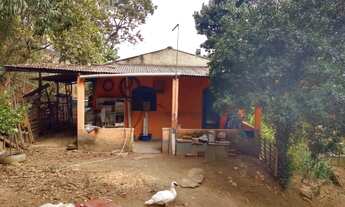 Imagem: Fazenda/Sítio/Chácara para venda possui