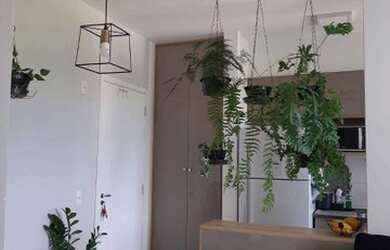 Imagem 6: Apartamento com 2 dormitórios à venda, 46 m² por R$ 270.000,00 - João Aranha - Paulínia/SP