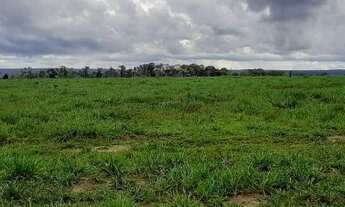 Imagem 5: Fazenda para Venda em Nova Marilândia, zona Rural, 2 dormitórios, 1 suíte, 2 banheiros
