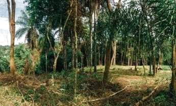Imagem 2: Terreno residencial à venda, Fazenda Duas Marias, Jaguariúna - TE0501