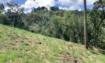 Imagem 4: Terreno no jardim Atalaia