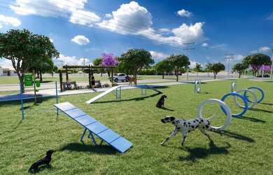 Imagem 5: Caldas Novas - Terreno Padrão - Setor Lagoa Quente