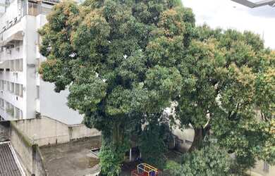 Imagem 3: Juntinho cobal, imperdível oportunidade!